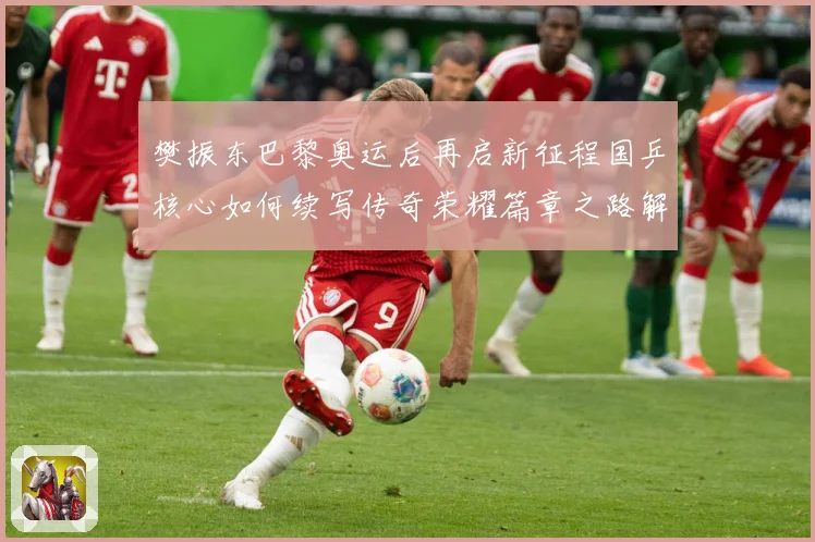 樊振东巴黎奥运后再启新征程国乒核心如何续写传奇荣耀篇章之路解析：最新赛事动态与深度分析